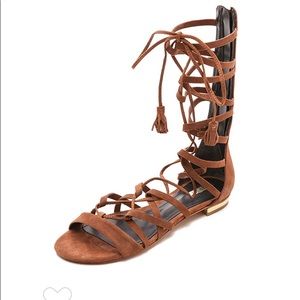 Schutz Billa Gladiator Sandals